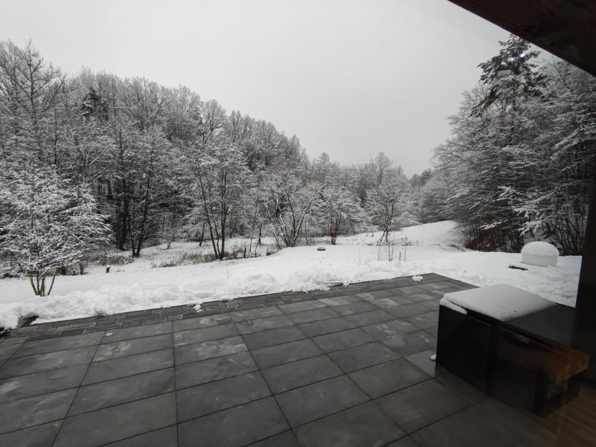Villa Miedzy Drzewami *