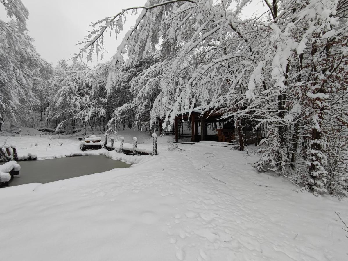 Villa Miedzy Drzewami Biecz
